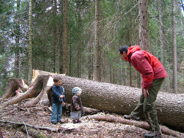 legno2