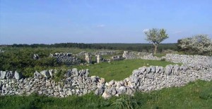 Parco Nazionale dell'Alta Murgia