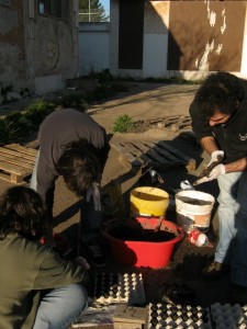 si preparano bombe di semi